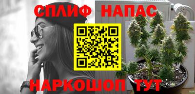 спиды Нальчик